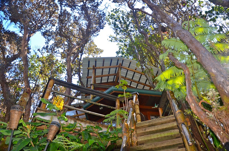 Robert and Gail always knew they wanted to move to Hawaii for retirement, but they never guessed that would lead them to building this beautiful treehouse.