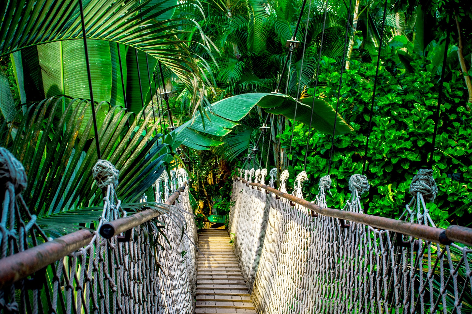 If you're an acrophobe, you might want to ditch the suspension bridge and opt for something a little sturdier under foot.